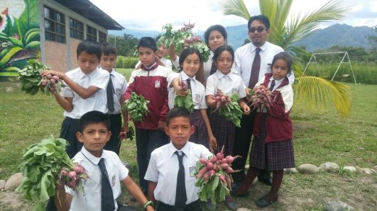 WhatsApp Image 2017-10-11 at 20.40.59(4)